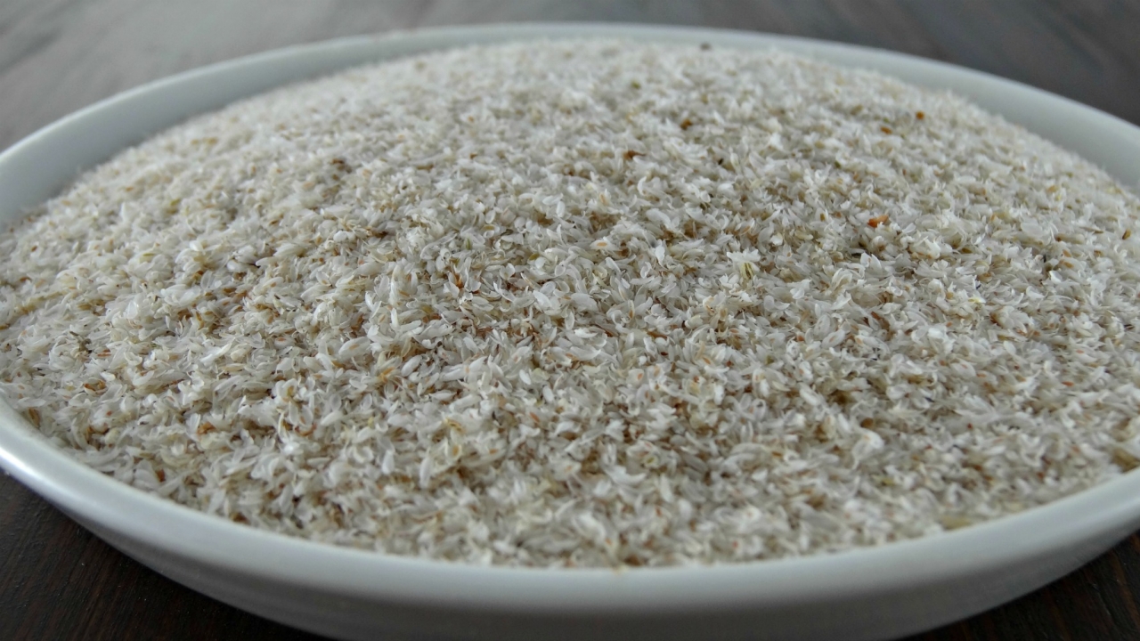 Flohsamenschalen Bio