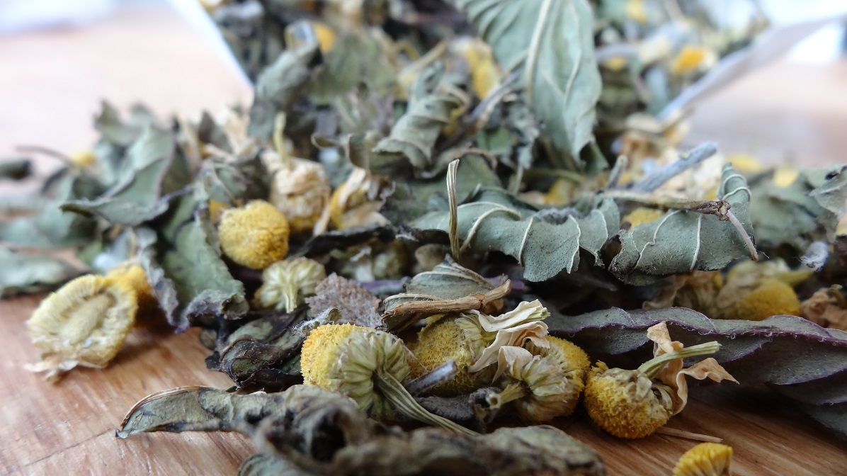 Tee Nr. 23 - Inhalation