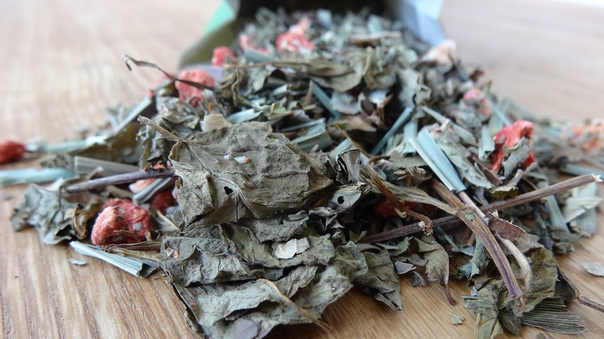 Minziges-Früchtchen BIO