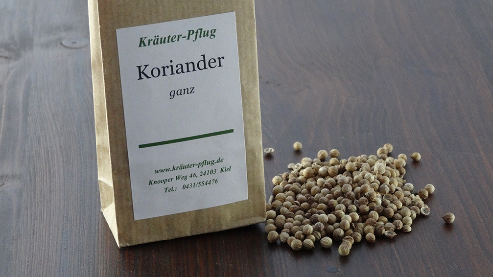 Koriander (BIO)