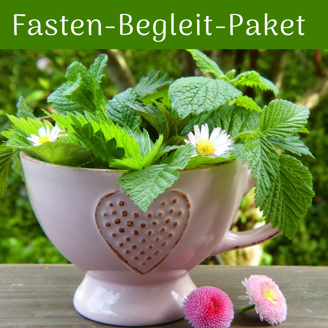 Großes Fasten-Begleit-Paket