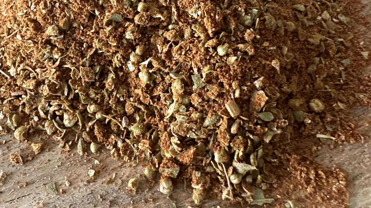 Chili Liebe mild (BIO)