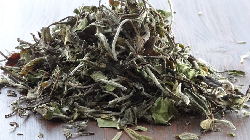 Weißer Tee, Pai Mu Dan (China)