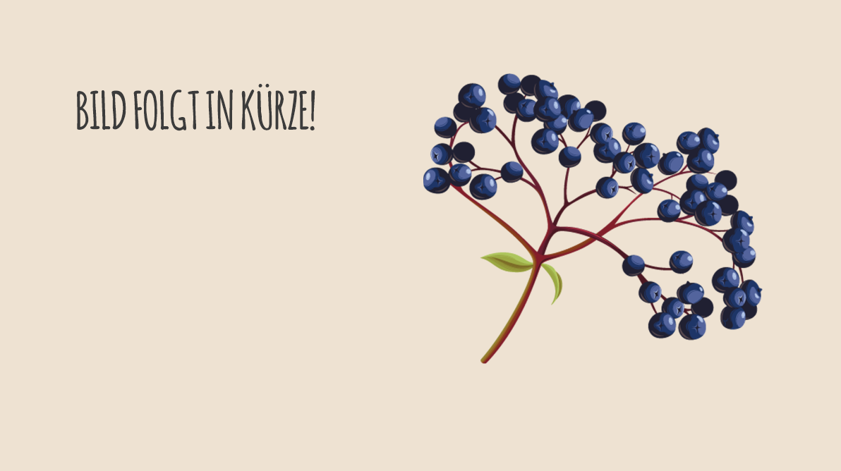 Beerenreigen mit Apfel (BIO)