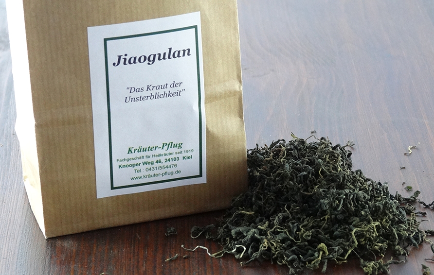 Jiaogulan
