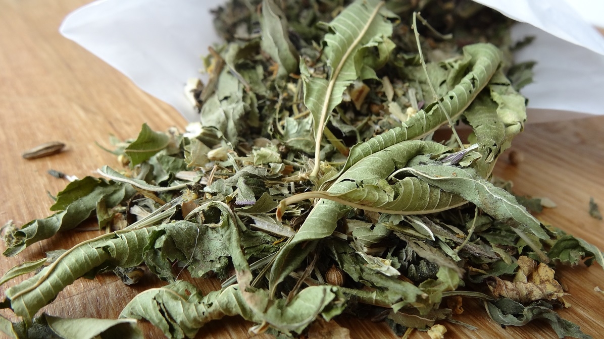 Tee Nr. 11 - Hausmischung